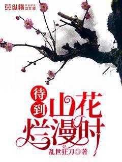 阿卡麗的神秘商店